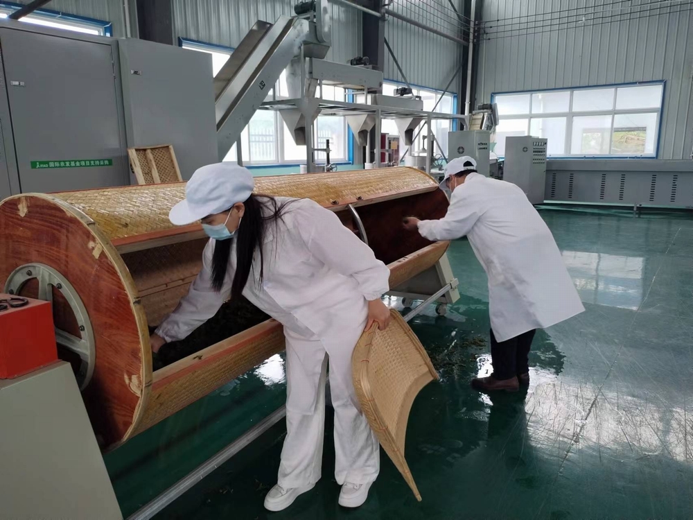 陜煤建設定點幫扶村：“天池大碗茶”促進產業發(fā)展正循環(huán)